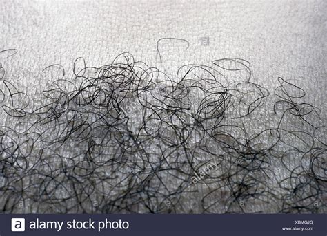 hairy galleries|Pubic Hair Images – Browse 2,797,334 Stock Photos, Vectors,。